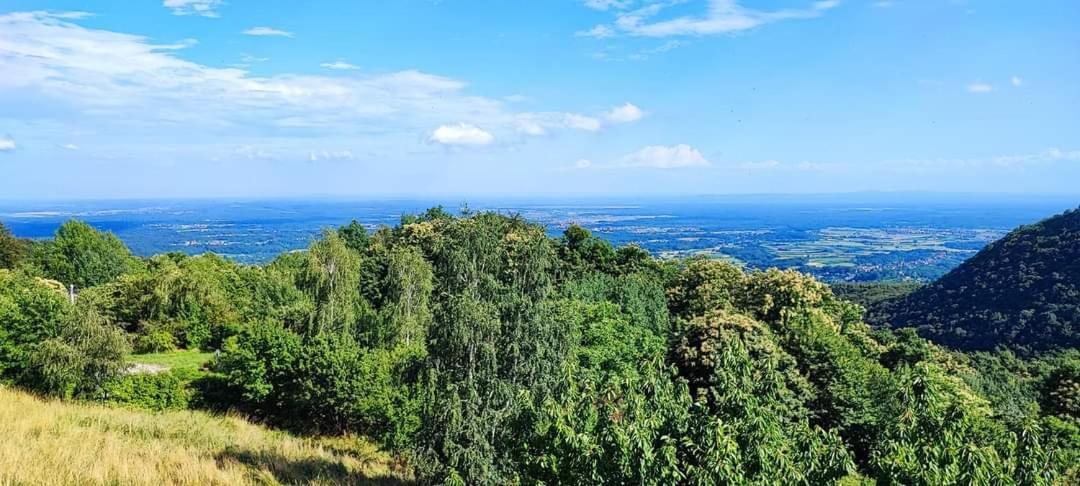 Kuca Za Odmor Poljanica Okicka Villa Jastrebarsko Luaran gambar